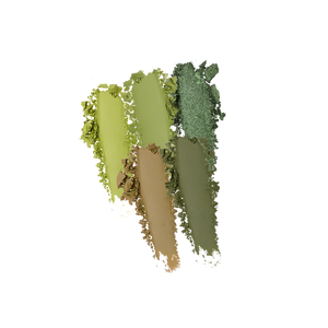 GLOBETROTTER 5 SHADE PALETTE