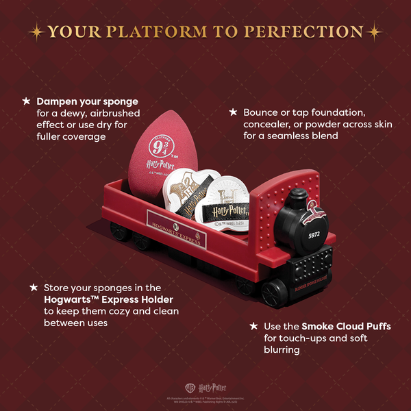 Harry Potter | Hogwarts™ Express Sponge Set